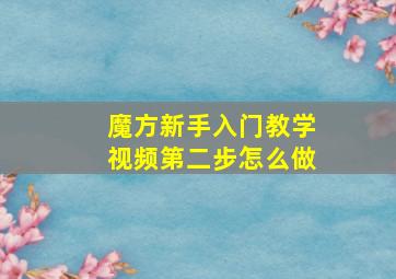 魔方新手入门教学视频第二步怎么做