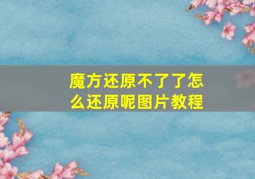 魔方还原不了了怎么还原呢图片教程