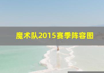 魔术队2015赛季阵容图