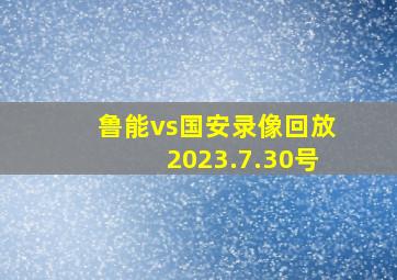 鲁能vs国安录像回放2023.7.30号