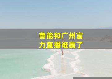 鲁能和广州富力直播谁赢了