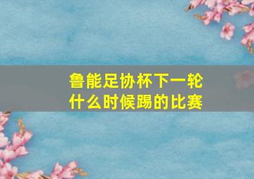 鲁能足协杯下一轮什么时候踢的比赛