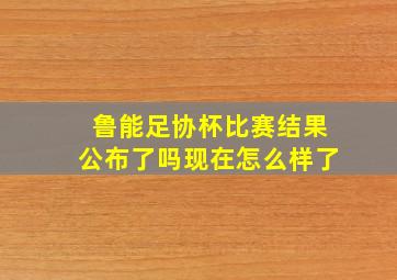 鲁能足协杯比赛结果公布了吗现在怎么样了