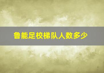 鲁能足校梯队人数多少