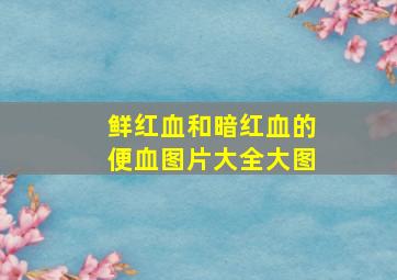 鲜红血和暗红血的便血图片大全大图