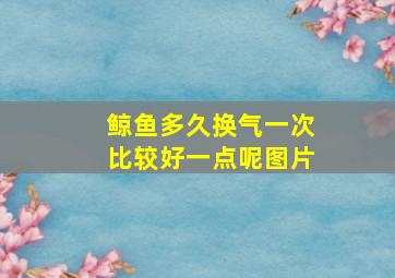 鲸鱼多久换气一次比较好一点呢图片