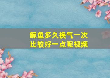 鲸鱼多久换气一次比较好一点呢视频