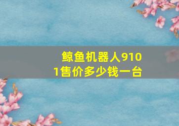 鲸鱼机器人9101售价多少钱一台