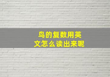 鸟的复数用英文怎么读出来呢