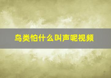 鸟类怕什么叫声呢视频