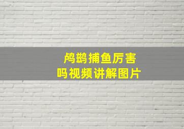 鸬鹚捕鱼厉害吗视频讲解图片