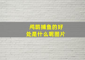 鸬鹚捕鱼的好处是什么呢图片