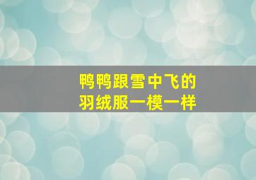 鸭鸭跟雪中飞的羽绒服一模一样