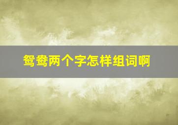 鸳鸯两个字怎样组词啊