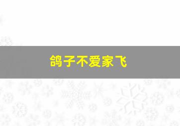 鸽子不爱家飞