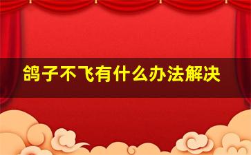 鸽子不飞有什么办法解决