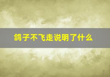 鸽子不飞走说明了什么