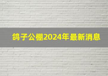 鸽子公棚2024年最新消息