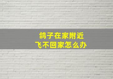 鸽子在家附近飞不回家怎么办