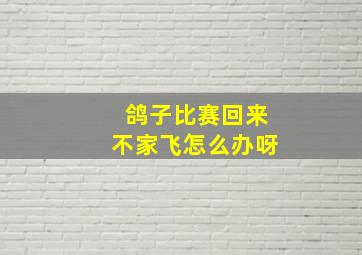 鸽子比赛回来不家飞怎么办呀