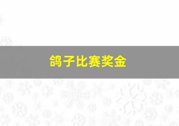 鸽子比赛奖金