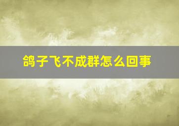 鸽子飞不成群怎么回事