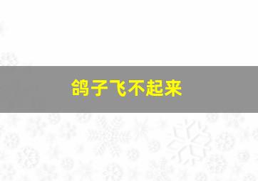 鸽子飞不起来