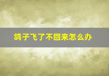 鸽子飞了不回来怎么办