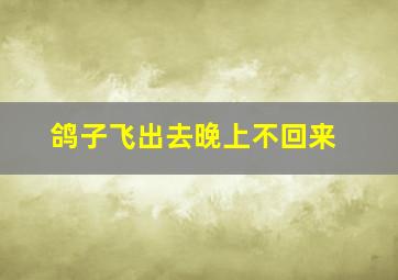 鸽子飞出去晚上不回来