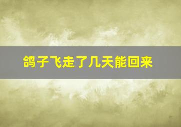 鸽子飞走了几天能回来