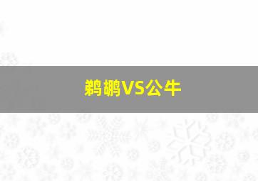 鹈鹕VS公牛