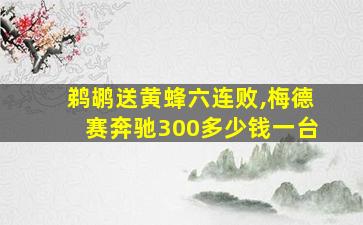 鹈鹕送黄蜂六连败,梅德赛奔驰300多少钱一台