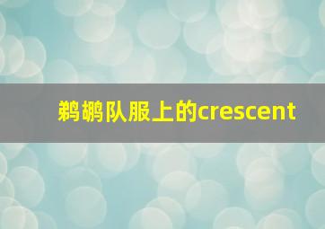 鹈鹕队服上的crescent