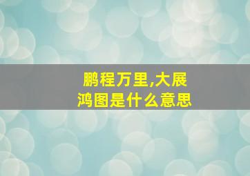 鹏程万里,大展鸿图是什么意思