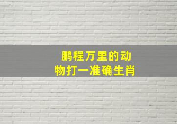 鹏程万里的动物打一准确生肖