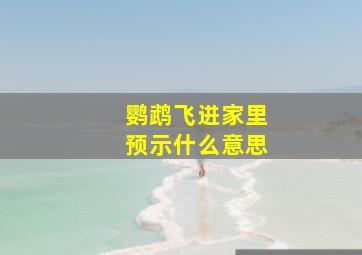 鹦鹉飞进家里预示什么意思