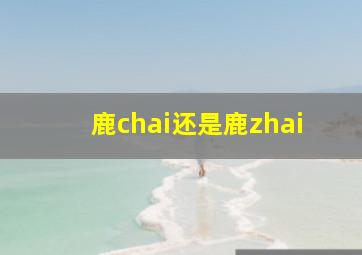 鹿chai还是鹿zhai