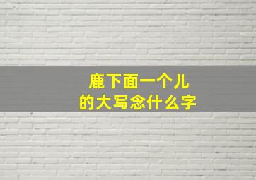 鹿下面一个儿的大写念什么字