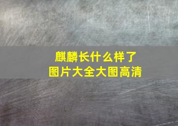 麒麟长什么样了图片大全大图高清