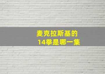 麦克拉斯基的14拳是哪一集