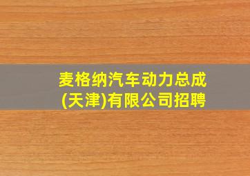 麦格纳汽车动力总成(天津)有限公司招聘