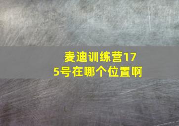 麦迪训练营175号在哪个位置啊