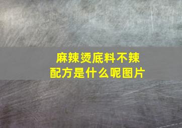 麻辣烫底料不辣配方是什么呢图片