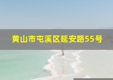 黄山市屯溪区延安路55号