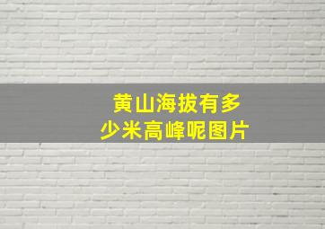 黄山海拔有多少米高峰呢图片