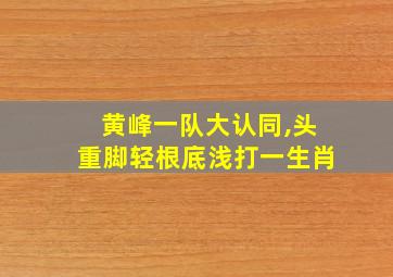 黄峰一队大认同,头重脚轻根底浅打一生肖