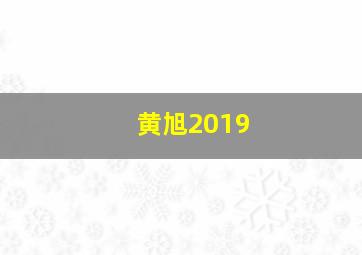 黄旭2019