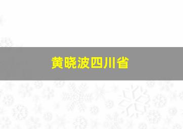 黄晓波四川省