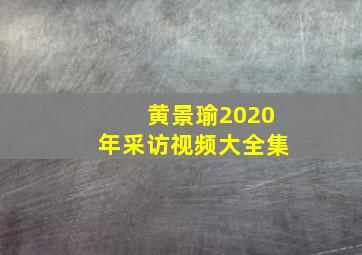 黄景瑜2020年采访视频大全集