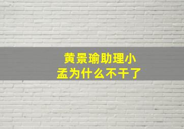 黄景瑜助理小孟为什么不干了